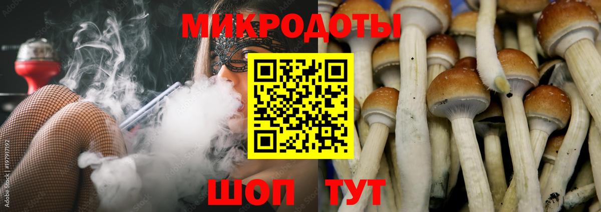 наркотики  Галлюциногенные грибы Cubensis  Вход с VPN  Иваново 